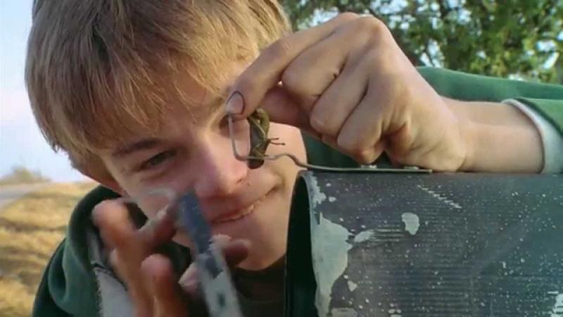 What’s Eating Gilbert Grape